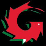logo garinni